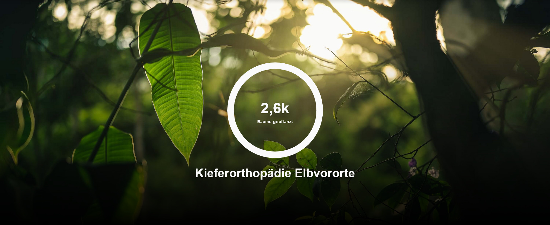 Kieferorthopädie Elbvororte Dr. Stephanie Wodianka